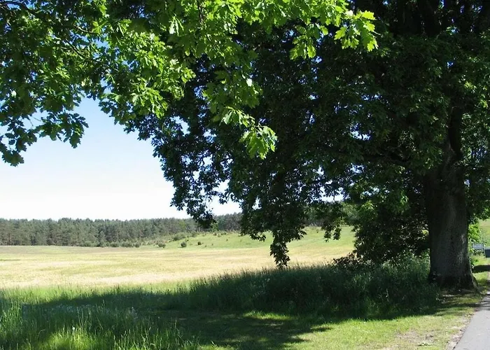 In The Lenzer Hoeh I